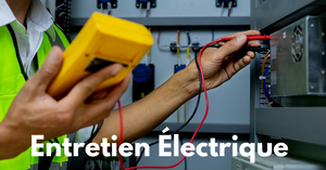 Services d'Entretien Électrique Industriel