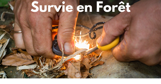 Activité d'équipe. - ovivre